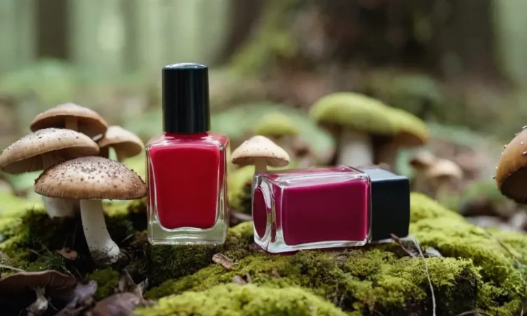 How Long Can Fungus Live In Nail Polish?